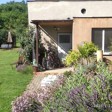 Apartmán Lenka II Borsice Exteriér fotografie